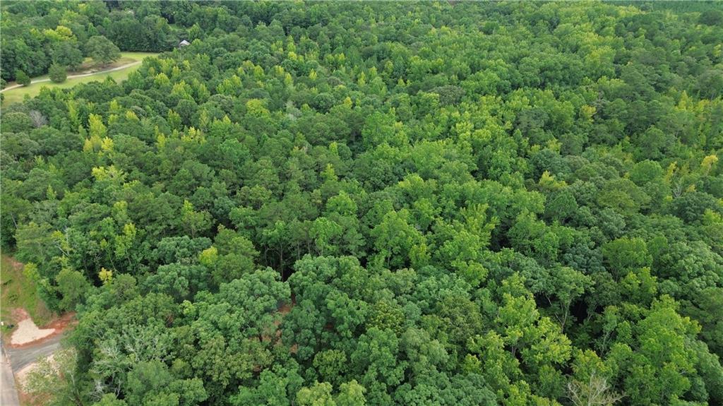 0 Roosevelt Hwy - 20.58 Acres Warm Springs GA 31830