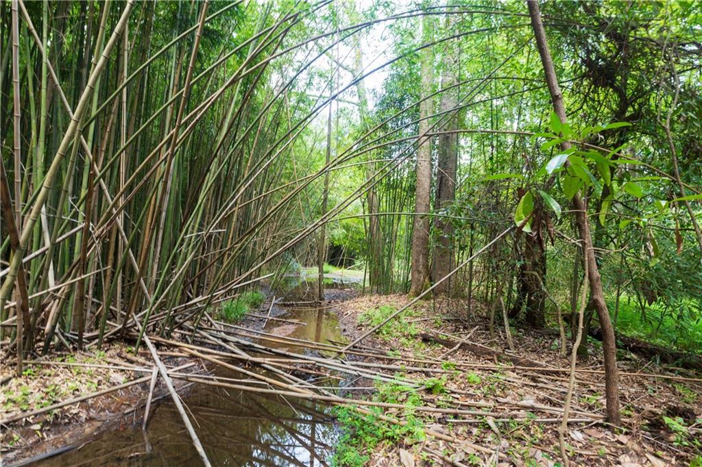 0 Roosevelt Hwy - 20.58 Acres Warm Springs GA 31830