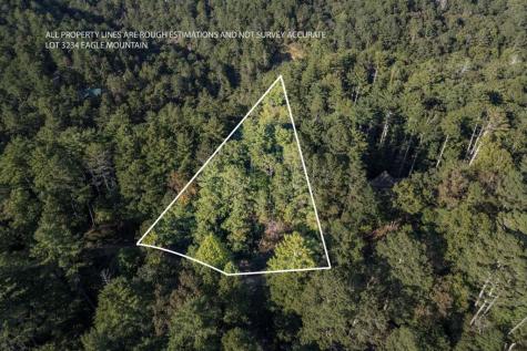 LT3234 Eagle Mountain Ellijay GA 30536