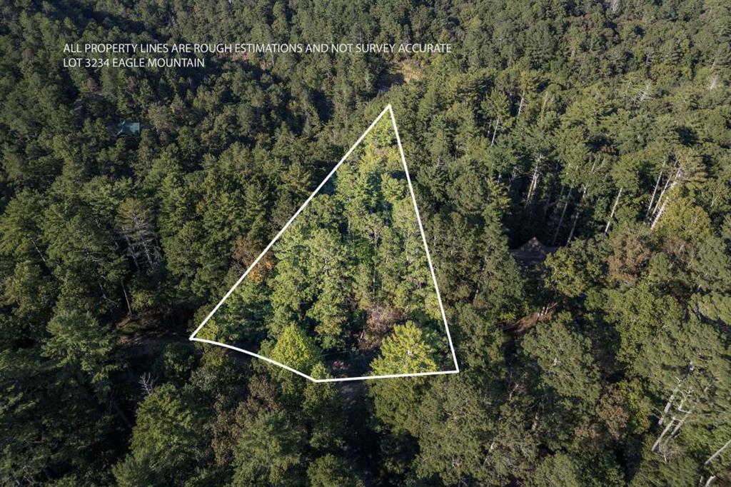 LT3234 Eagle Mountain Ellijay GA 30536