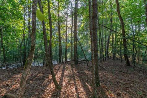 LT3234 Eagle Mountain Ellijay GA 30536