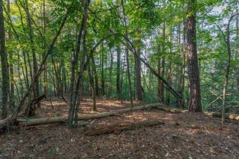 LT3234 Eagle Mountain Ellijay GA 30536