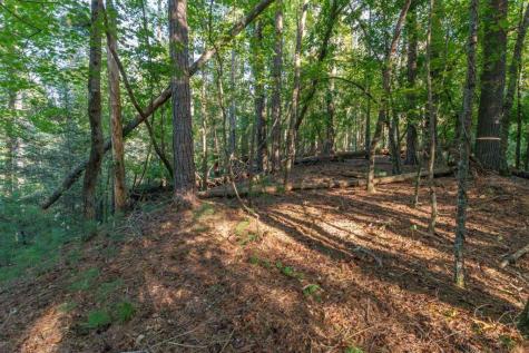 LT3234 Eagle Mountain Ellijay GA 30536