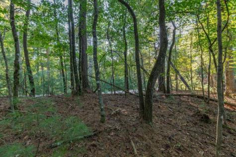 LT3234 Eagle Mountain Ellijay GA 30536