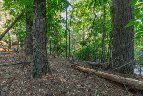 LT3234 Eagle Mountain Ellijay GA 30536