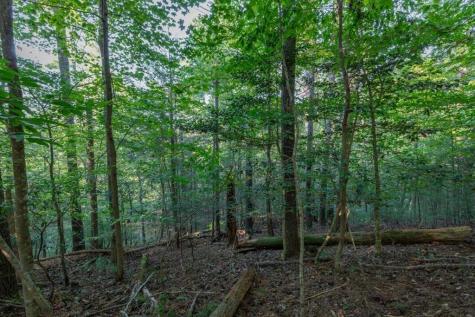 LT3234 Eagle Mountain Ellijay GA 30536