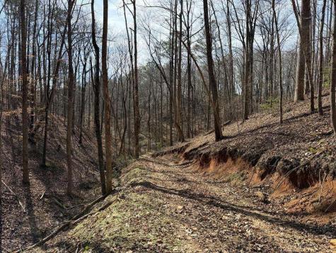 131 Nicholson Lane Talking Rock GA 30175