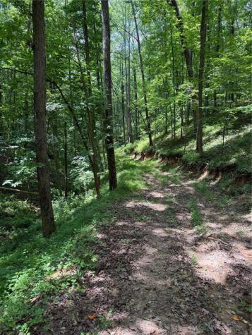 131 Nicholson Lane Talking Rock GA 30175