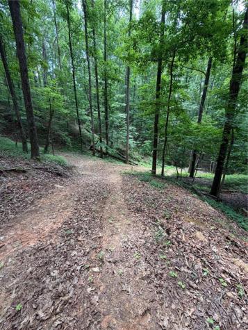 131 Nicholson Lane Talking Rock GA 30175
