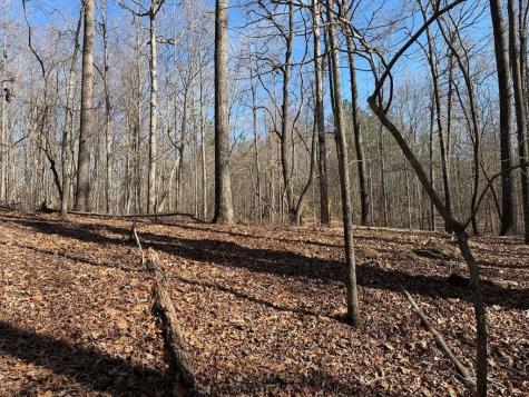 131 Nicholson Lane Talking Rock GA 30175