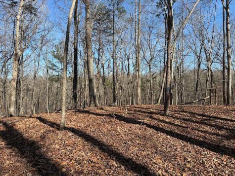 131 Nicholson Lane Talking Rock GA 30175