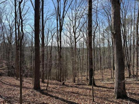 131 Nicholson Lane Talking Rock GA 30175