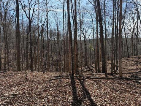 131 Nicholson Lane Talking Rock GA 30175