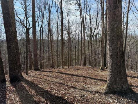 131 Nicholson Lane Talking Rock GA 30175