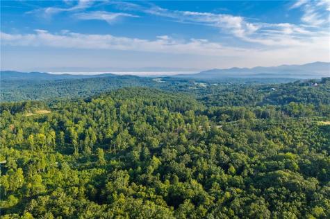 Lt 191 Oak Park Drive Talking Rock GA 30175