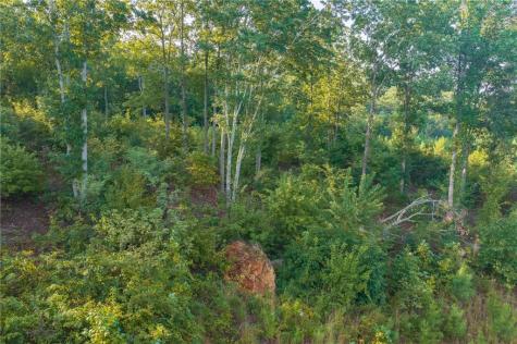 Lt 191 Oak Park Drive Talking Rock GA 30175