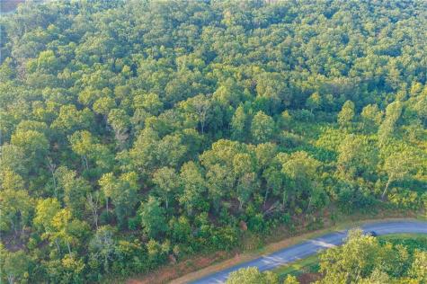 Lt 191 Oak Park Drive Talking Rock GA 30175