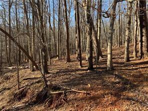 0 Oak Ridge Court Jasper GA 30143