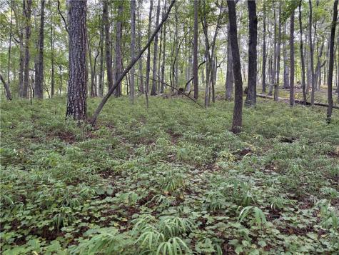 Lot 19 Norton Lane Dahlonega GA 30533