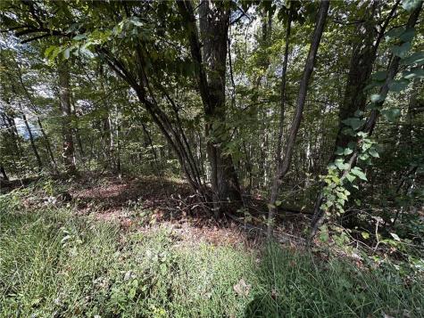 7R Mountain Falls Loop Ellijay GA 30536