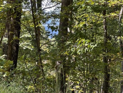 7R Mountain Falls Loop Ellijay GA 30536