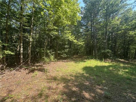 40 Patriot View Drive Dahlonega GA 30533