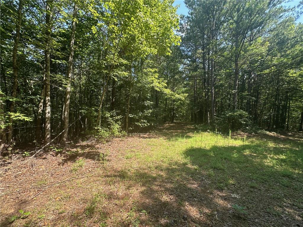 40 Patriot View Drive Dahlonega GA 30533
