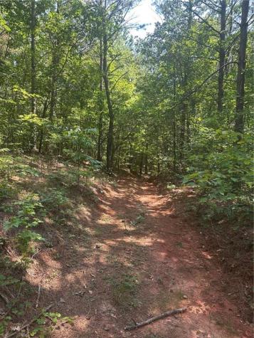 40 Patriot View Drive Dahlonega GA 30533