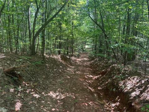 40 Patriot View Drive Dahlonega GA 30533