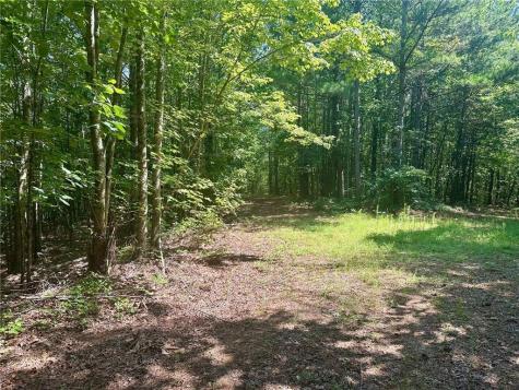 40 Patriot View Drive Dahlonega GA 30533