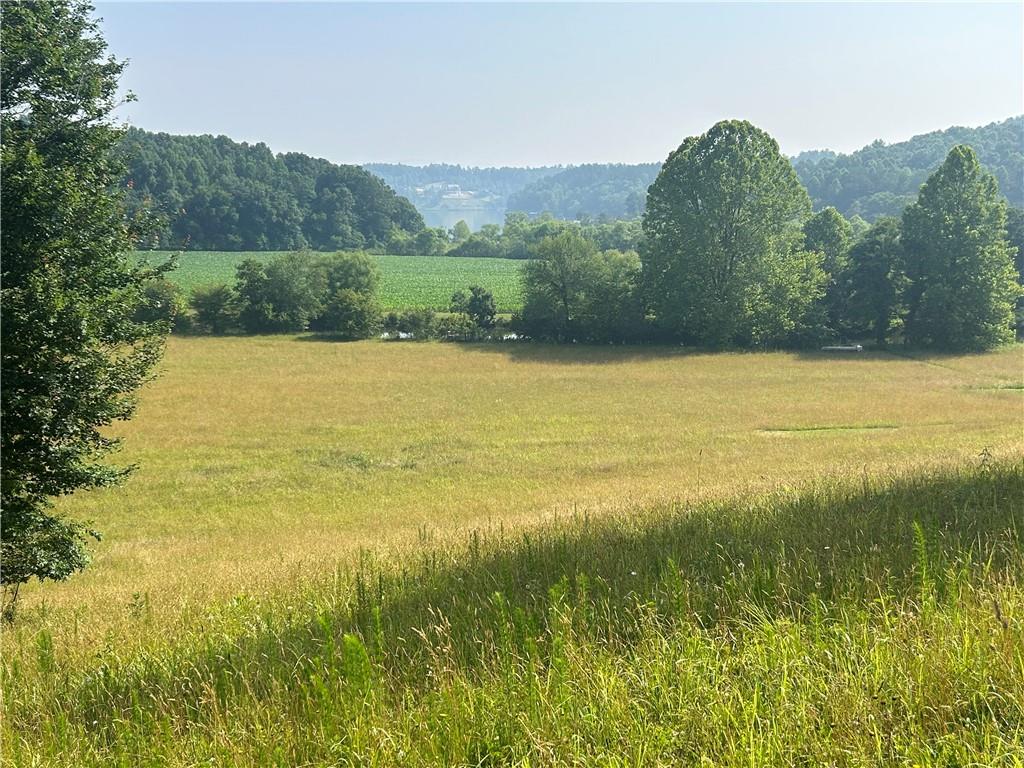 0 Lola Drive Blairsville GA 30512