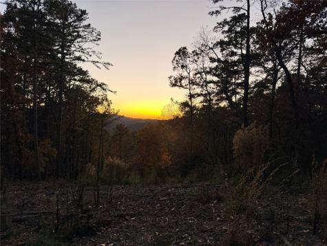 0 Canoe Way Talking Rock GA 30175