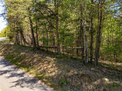 0 Talc Mine Road Jasper GA 30143