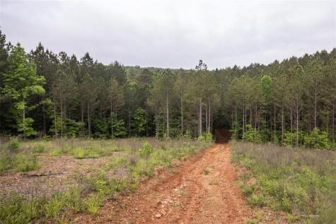 0 Hidden Creek Road Jasper GA 30143