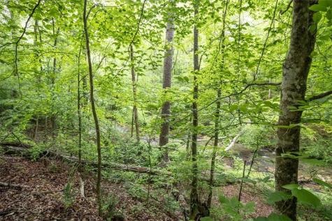0 Hidden Creek Road Jasper GA 30143