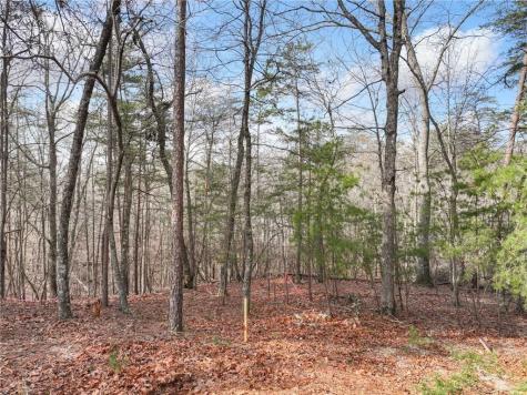 Lot 20 Crown Mountain Way Dahlonega GA 30533