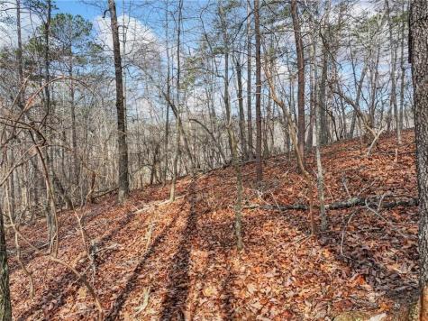 Lot 20 Crown Mountain Way Dahlonega GA 30533