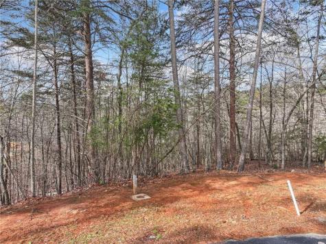 Lot 20 Crown Mountain Way Dahlonega GA 30533