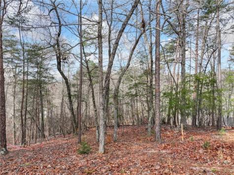 Lot 20 Crown Mountain Way Dahlonega GA 30533