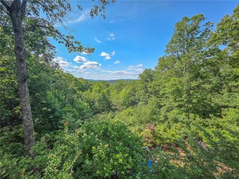 120 Sunrock Mountain Trace Blue Ridge GA 30513