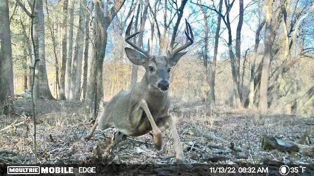 2018 Finch Drive Winder GA 30680