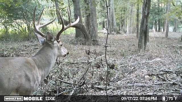 2018 Finch Drive Winder GA 30680
