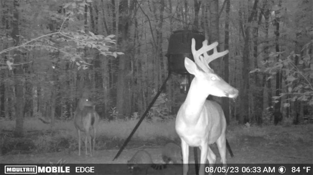 2018 Finch Drive Winder GA 30680