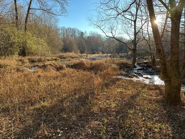 2018 Finch Drive Winder GA 30680