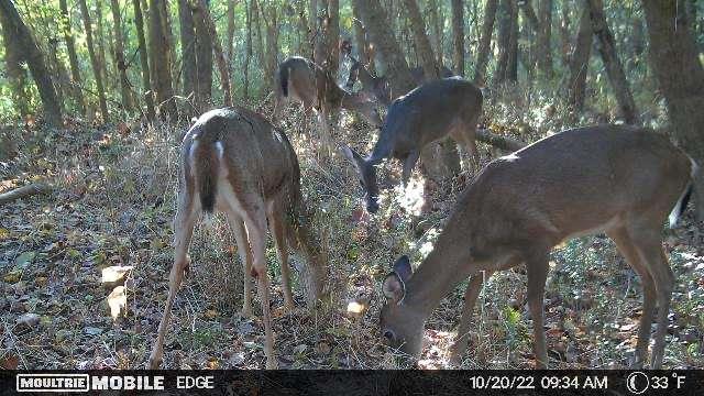 2018 Finch Drive Winder GA 30680