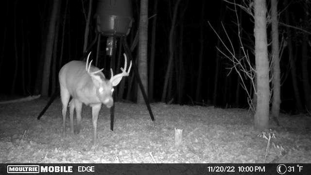 2018 Finch Drive Winder GA 30680