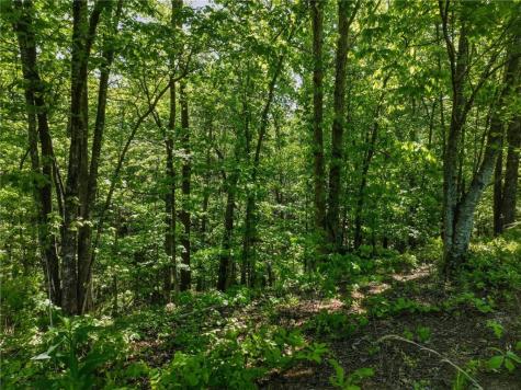 Lot 5 Summit Drive Dahlonega GA 30533