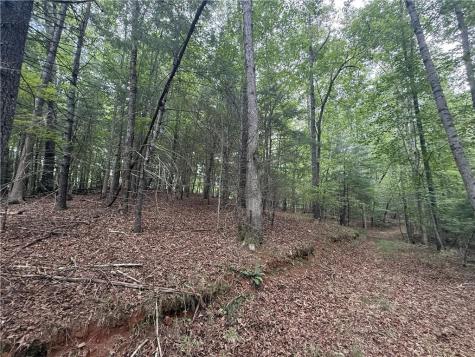 0 Yahoola Indian Trail Dahlonega GA 30533