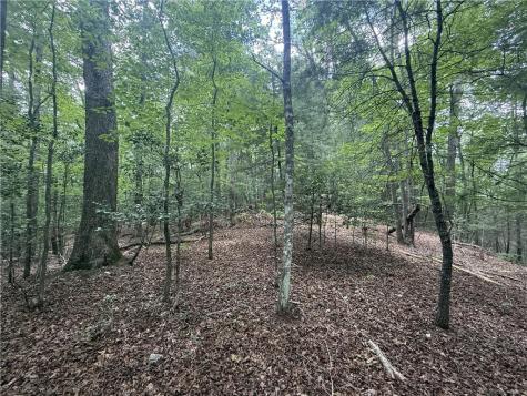 0 Yahoola Indian Trail Dahlonega GA 30533