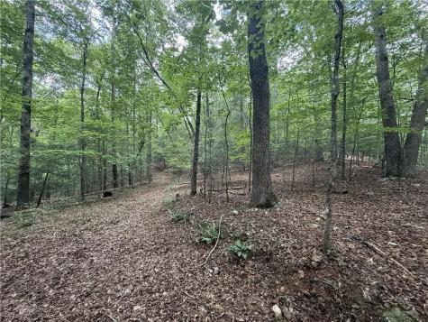 0 Yahoola Indian Trail Dahlonega GA 30533